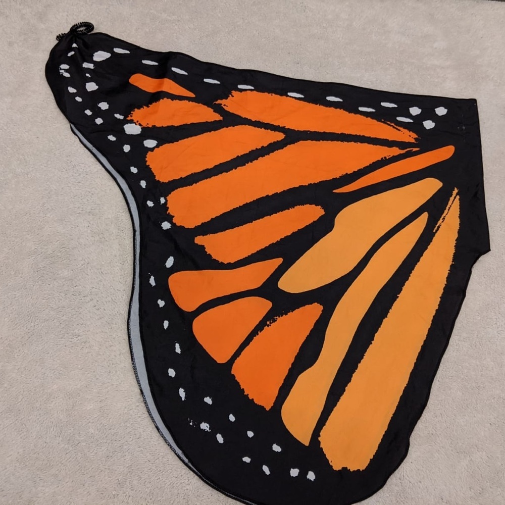 Butterfly costume - Picture 2 of 8
